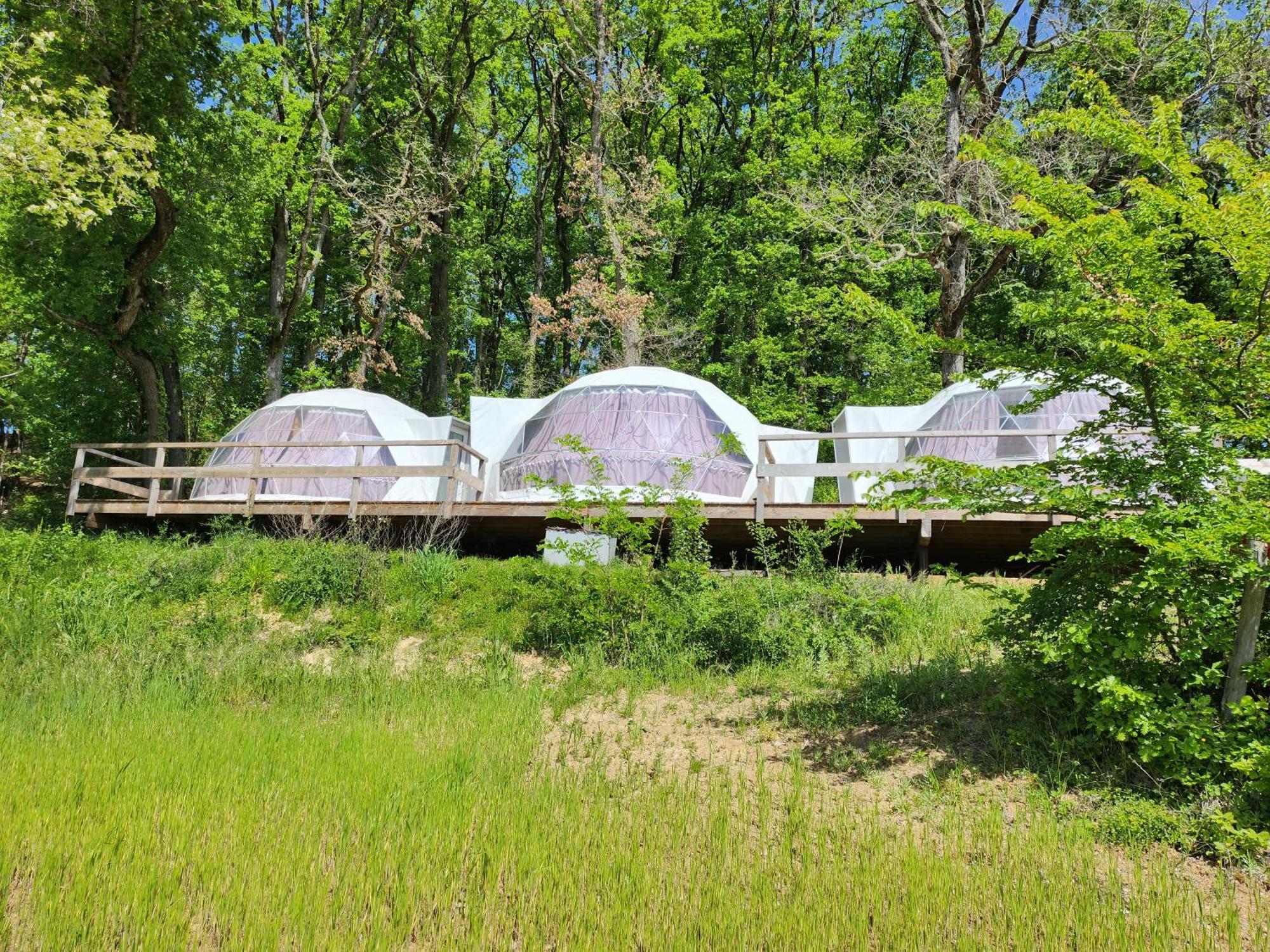 Domaine De Massoulac Molières エクステリア 写真
