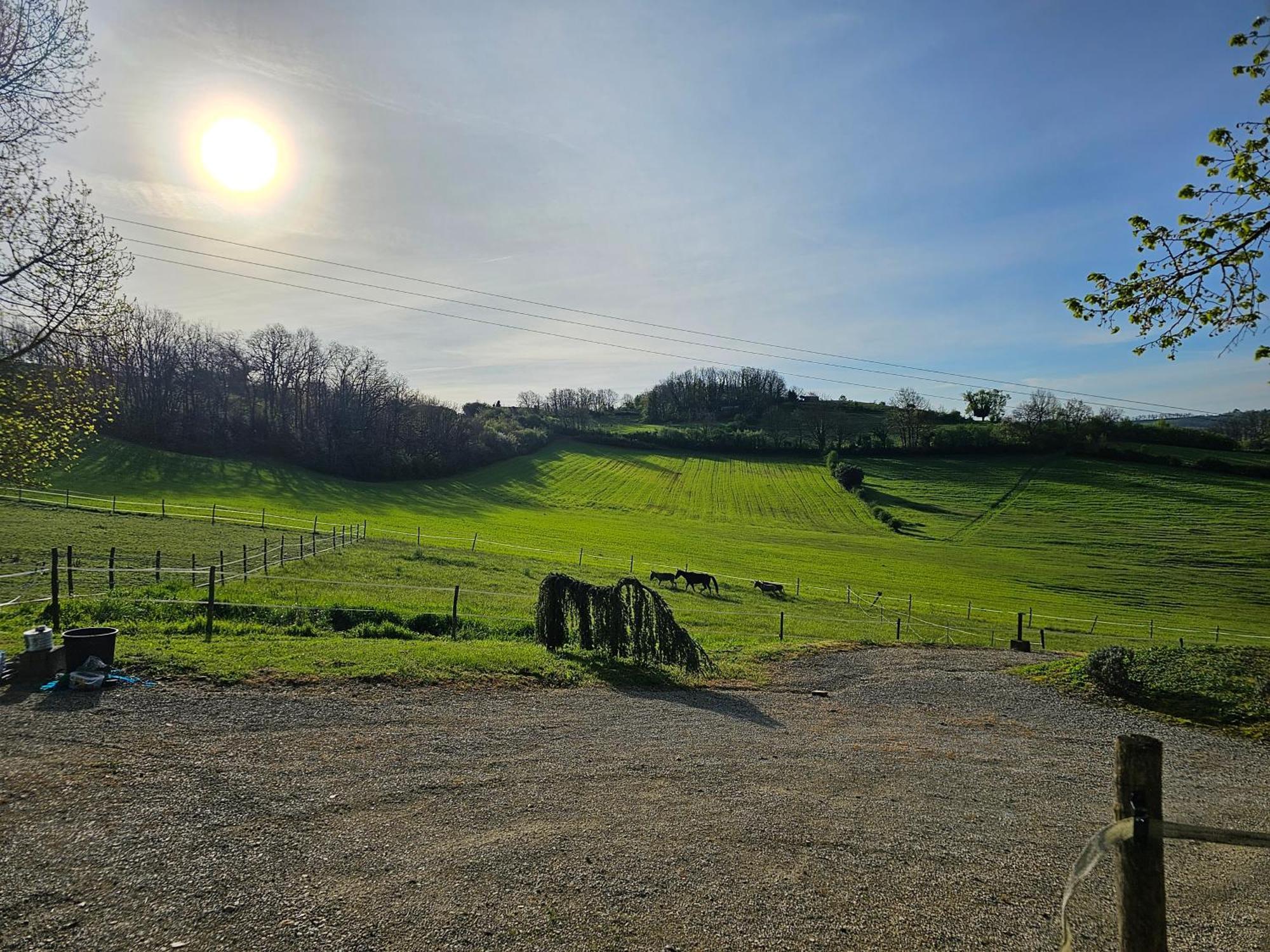 Domaine De Massoulac Molières エクステリア 写真
