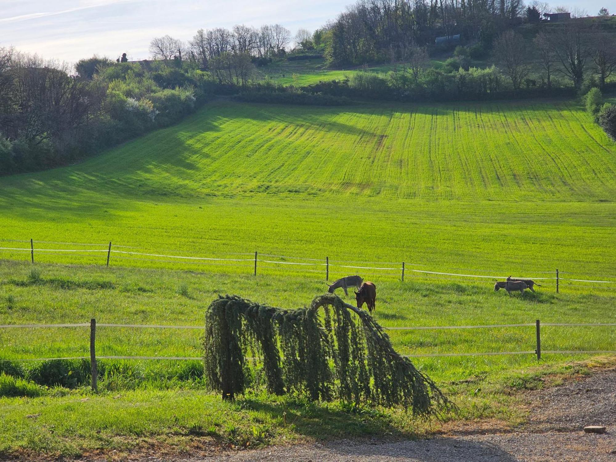 Domaine De Massoulac Molières エクステリア 写真