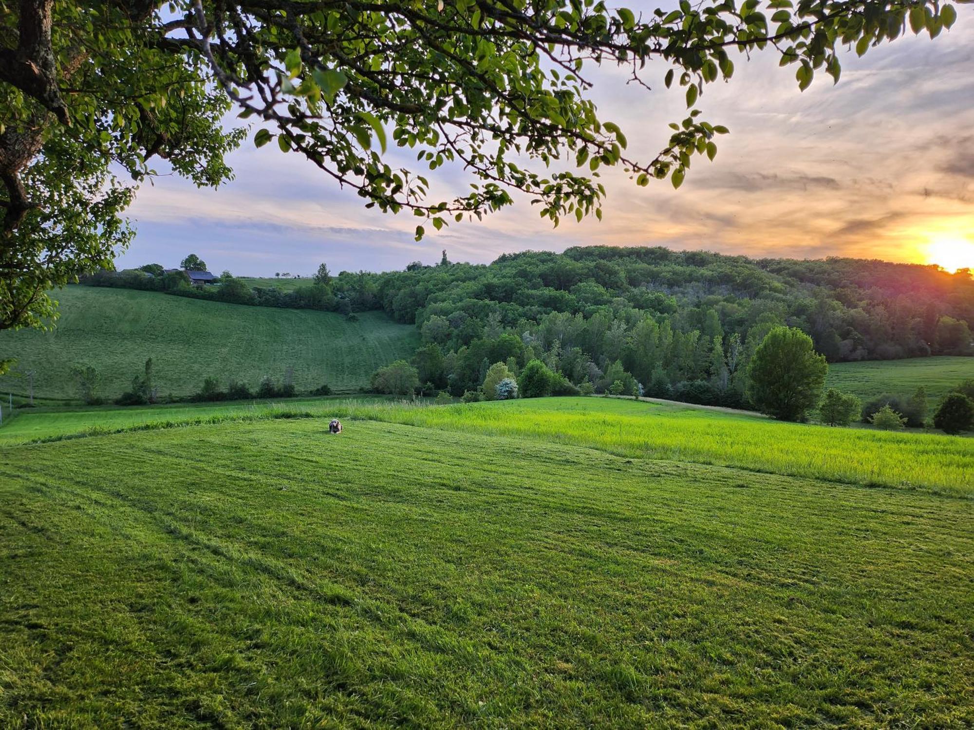 Domaine De Massoulac Molières エクステリア 写真
