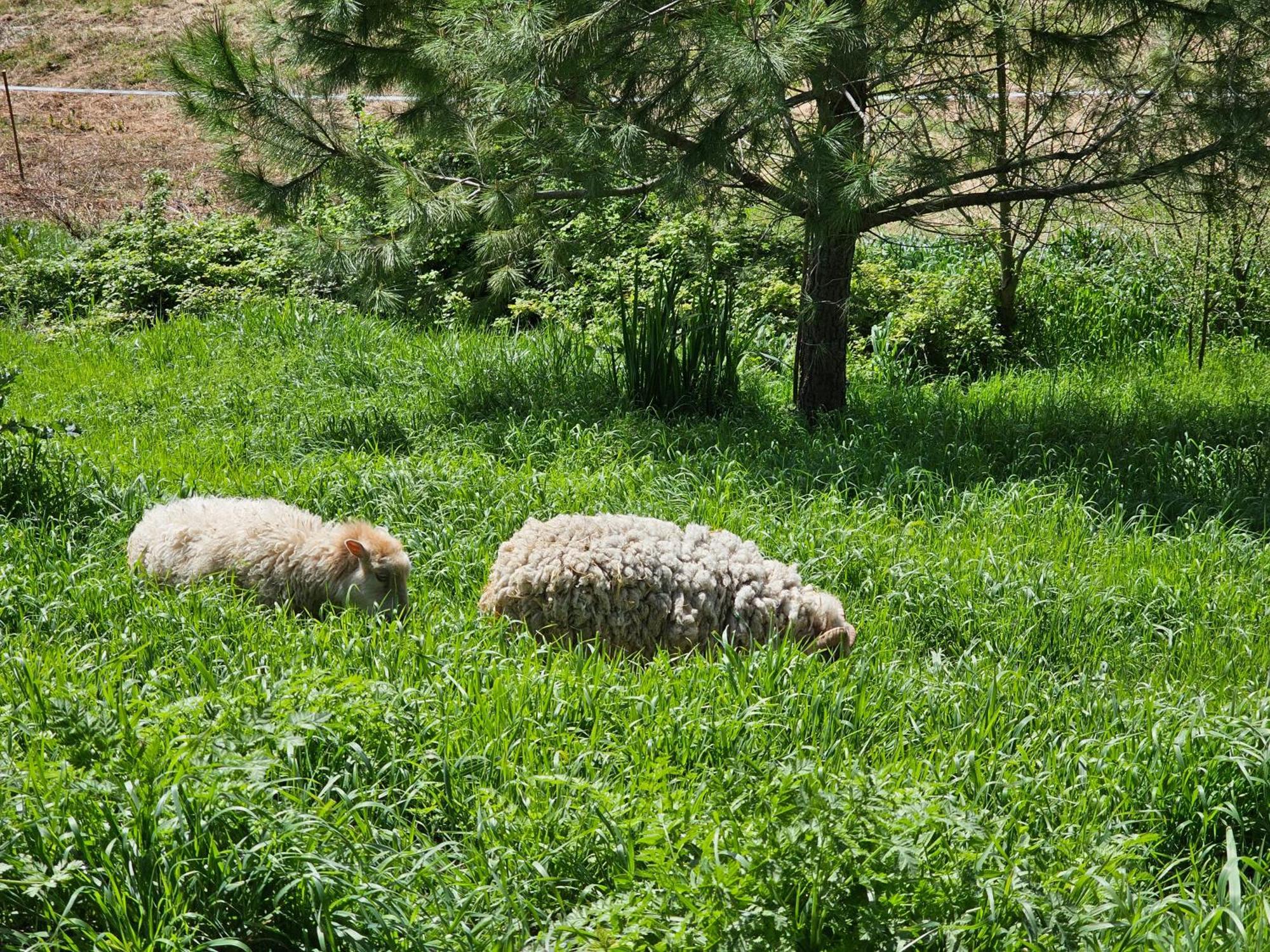Domaine De Massoulac Molières エクステリア 写真