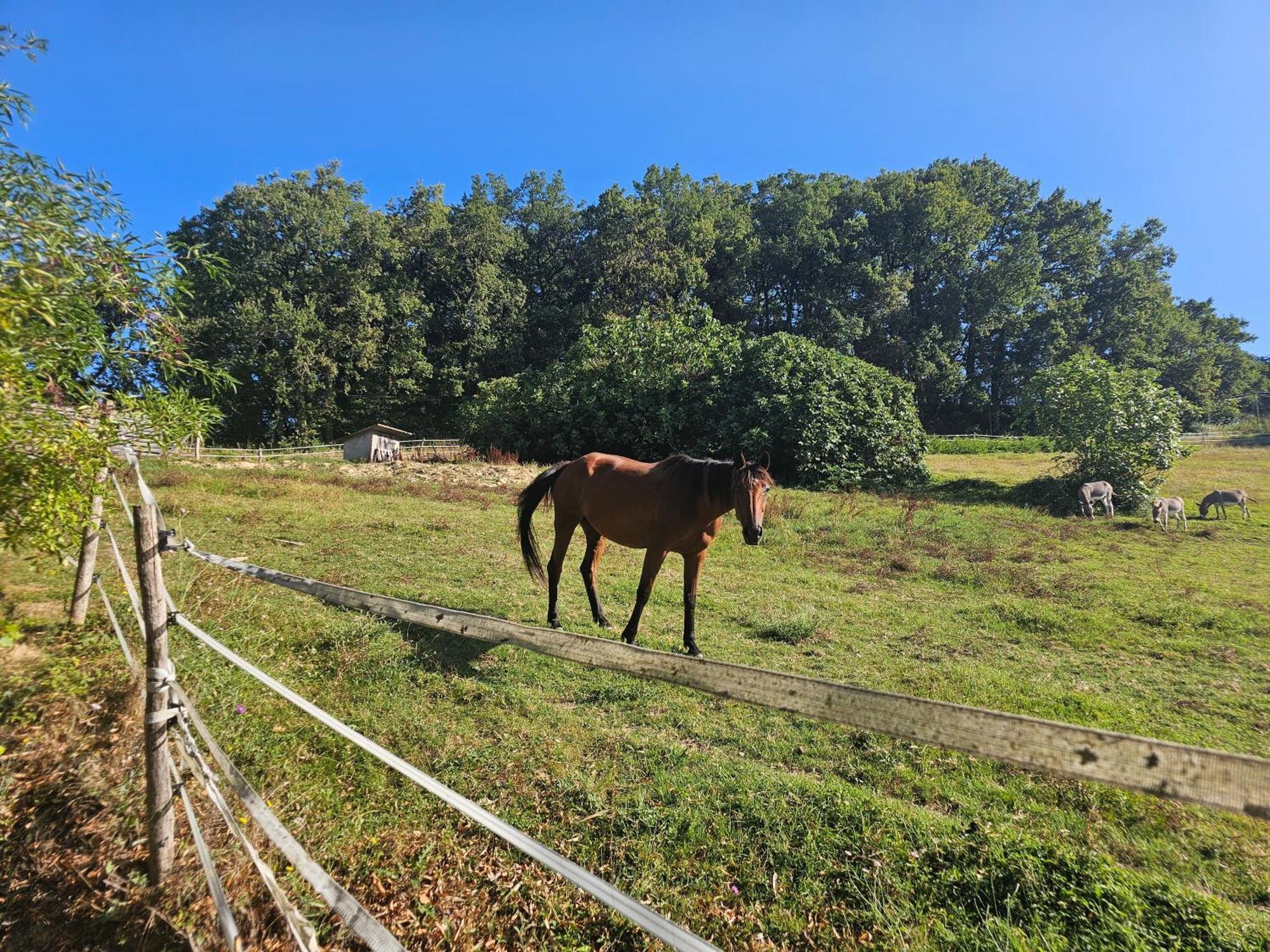 Domaine De Massoulac Molières エクステリア 写真